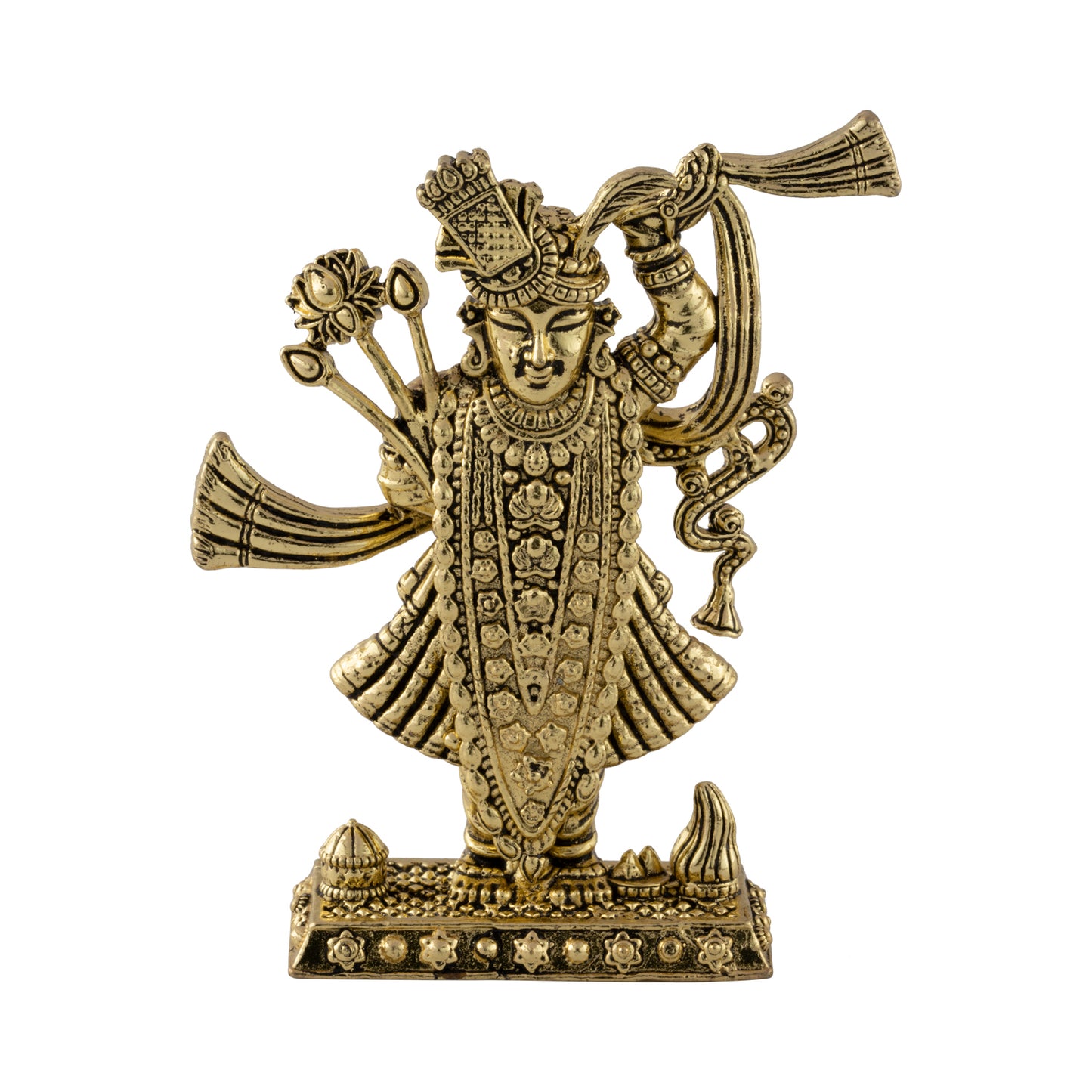 ShreeNathji