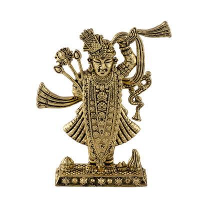 ShreeNathji