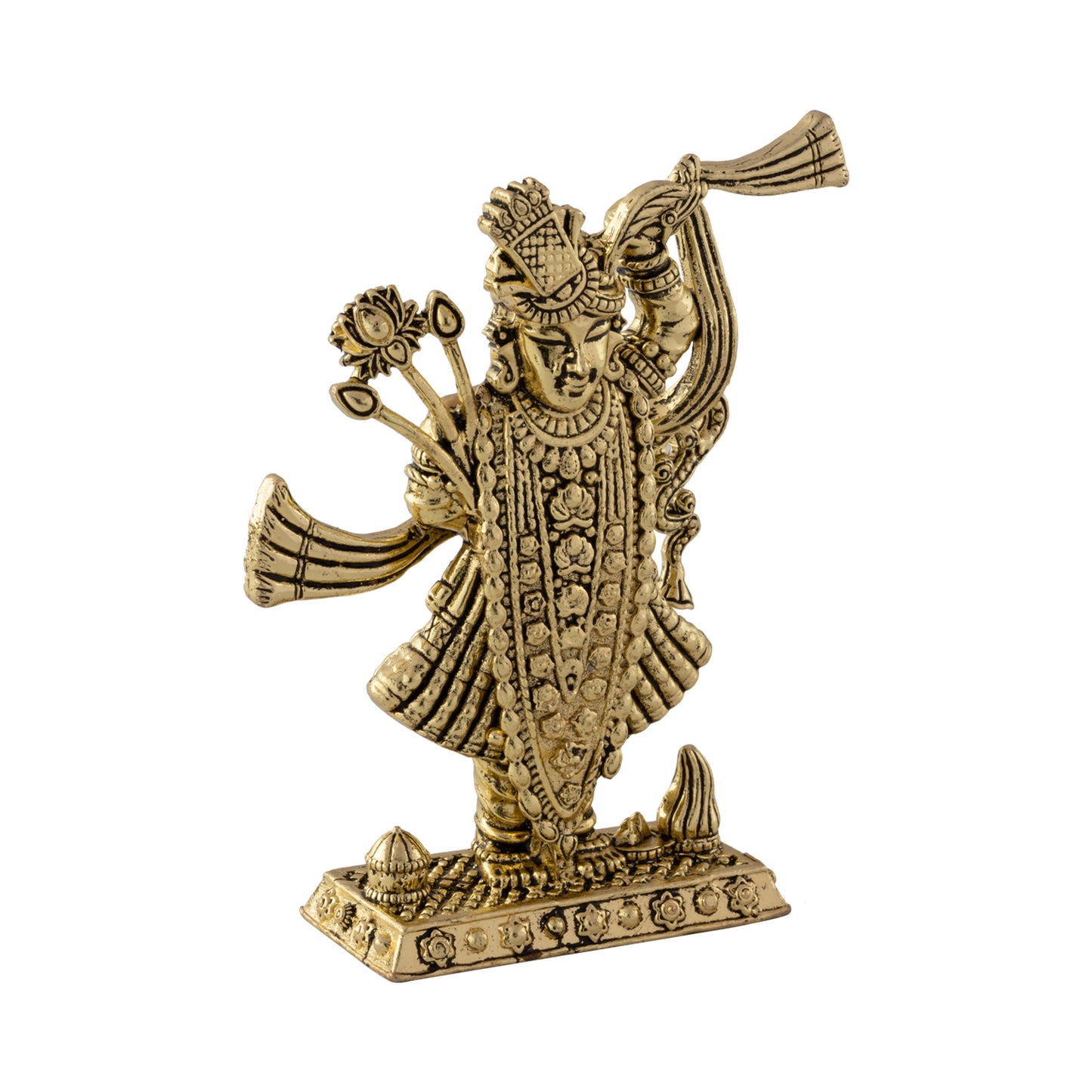ShreeNathji