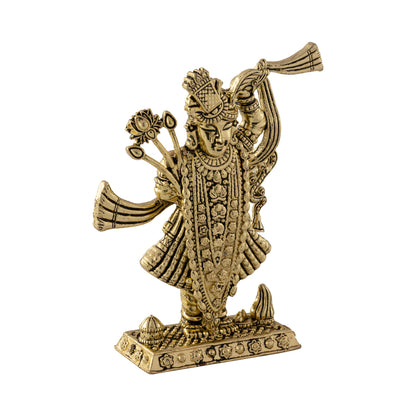 ShreeNathji