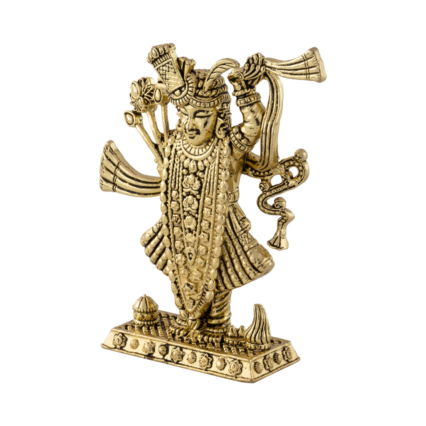 ShreeNathji